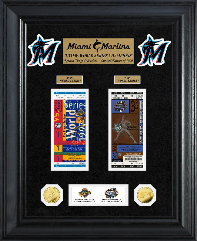 Houston Astros 2-Time World Series Champions Deluxe 18 x 22 Gold Coin &  Ticket Collection Ltd Ed of 1,000