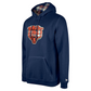 CHICAGO BEARS MEN'S 2024 NFL SIDELINE 3RD DOWN PLAID PULLOVER HOODED SWEATSHIRT