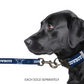 DALLAS COWBOYS PREMIUM PET LEAD