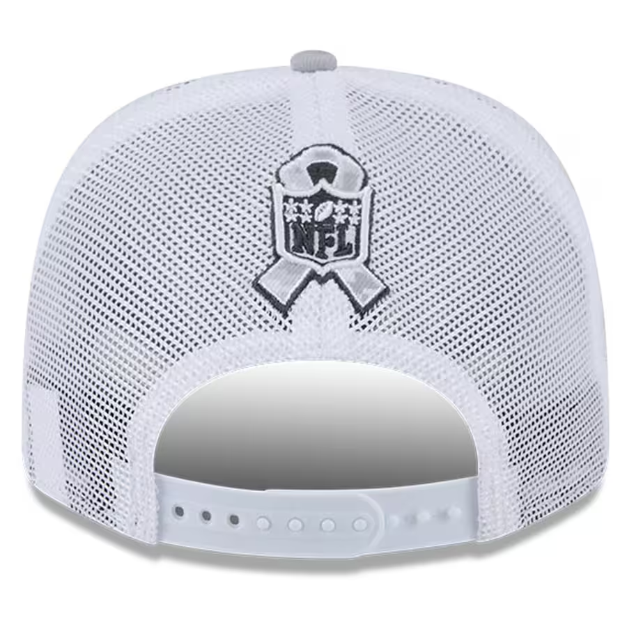 Detroit lions military hat online