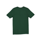 GREEN BAY PACKERS MEN'S SPORT CLASSICS T-SHIRT - GREEN