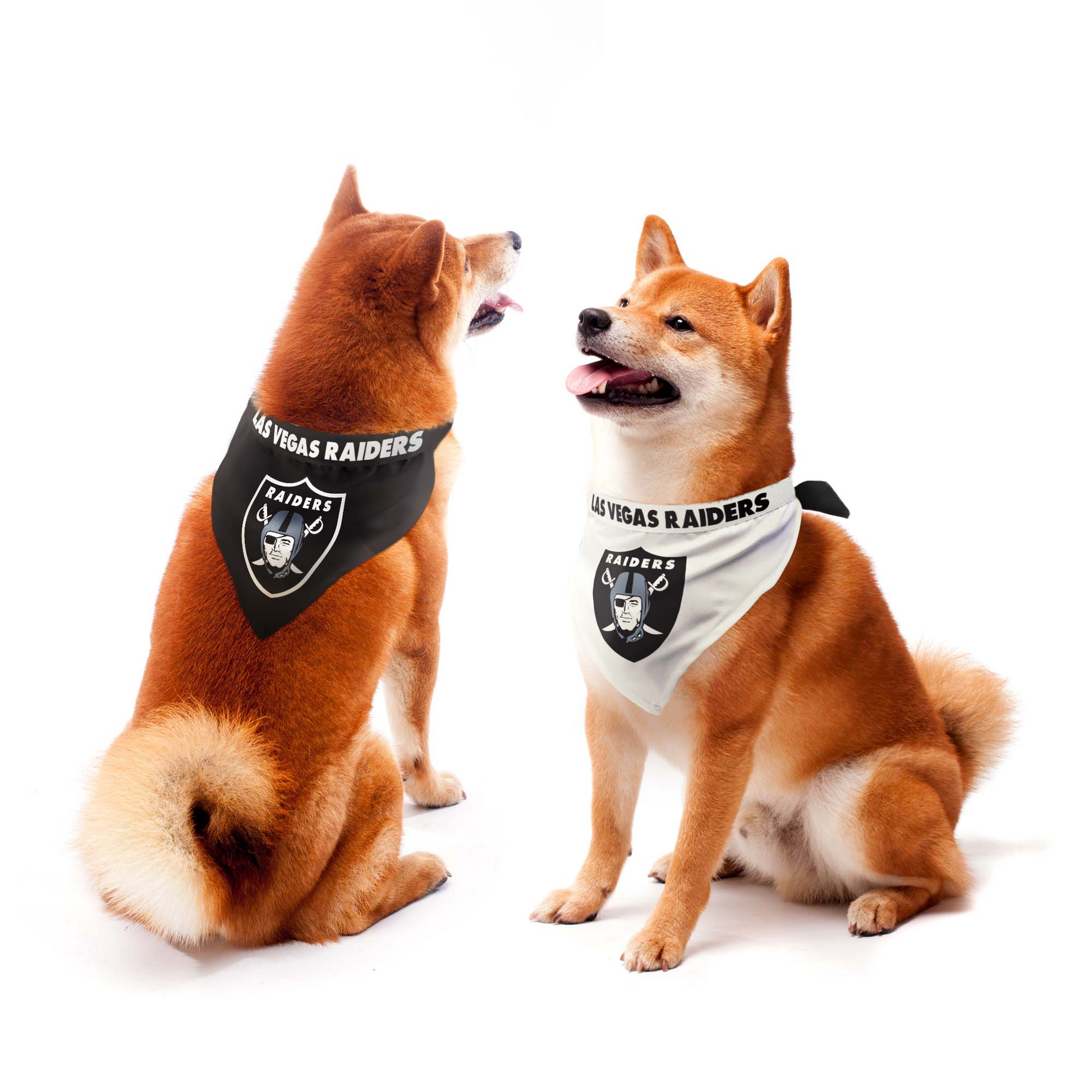 Las Vegas Raiders NFL Dog Bandanas - White