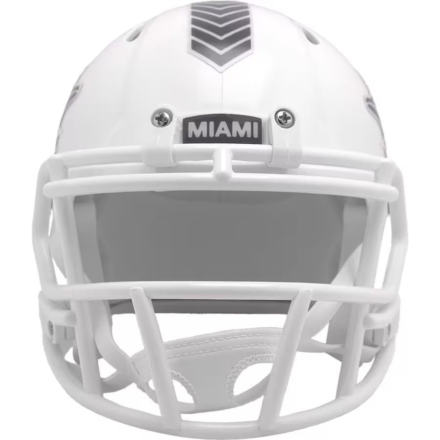 MIAMI DOLPHINS  2024 NFL SALUTE TO SERVICE RIDDELL MINI HELMET