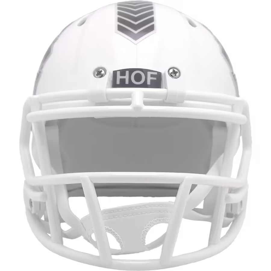 PRO FOOTBALL HALL OF FAME 2024 NFL SALUTE TO SERVICE RIDDELL MINI HELM