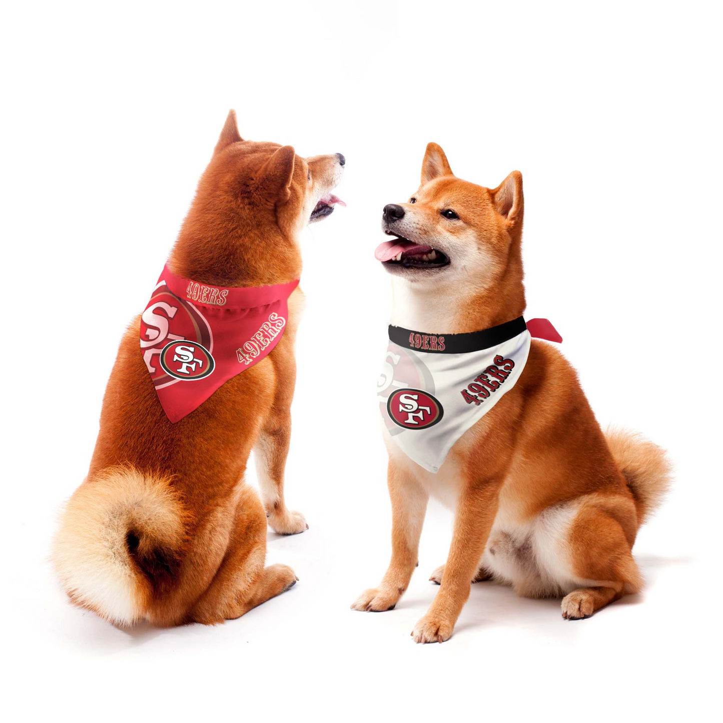 Spiderman and NFL San Francisco 49ers Pet Bandana Dog 