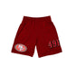 SAN FRANCISCO 49ERS MEN'S MESH SHORTS