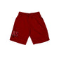 SAN FRANCISCO 49ERS MEN'S MESH SHORTS