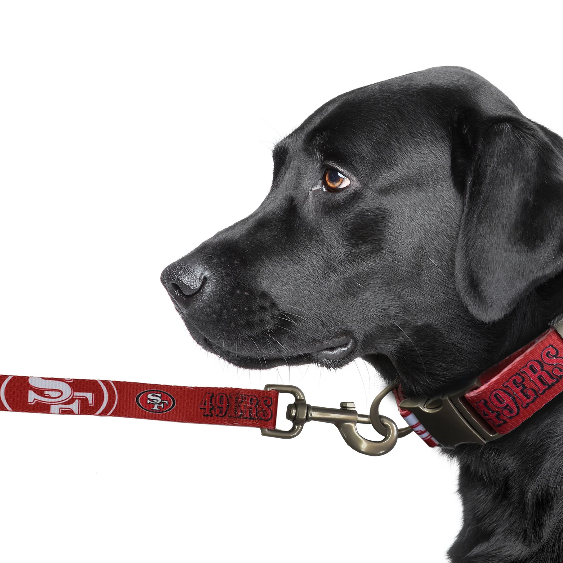 San Francisco 49ers Dog Collar or Leash