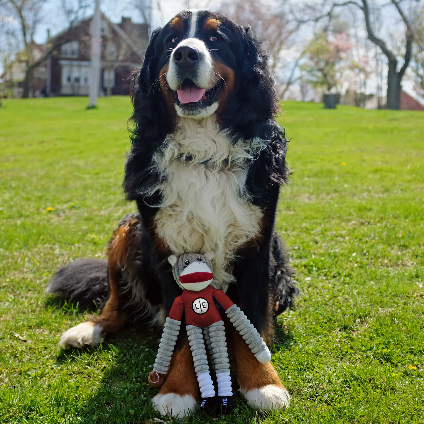 SAN FRANCISCO 49ERS TEAM SOCK MONKEY PET TOY