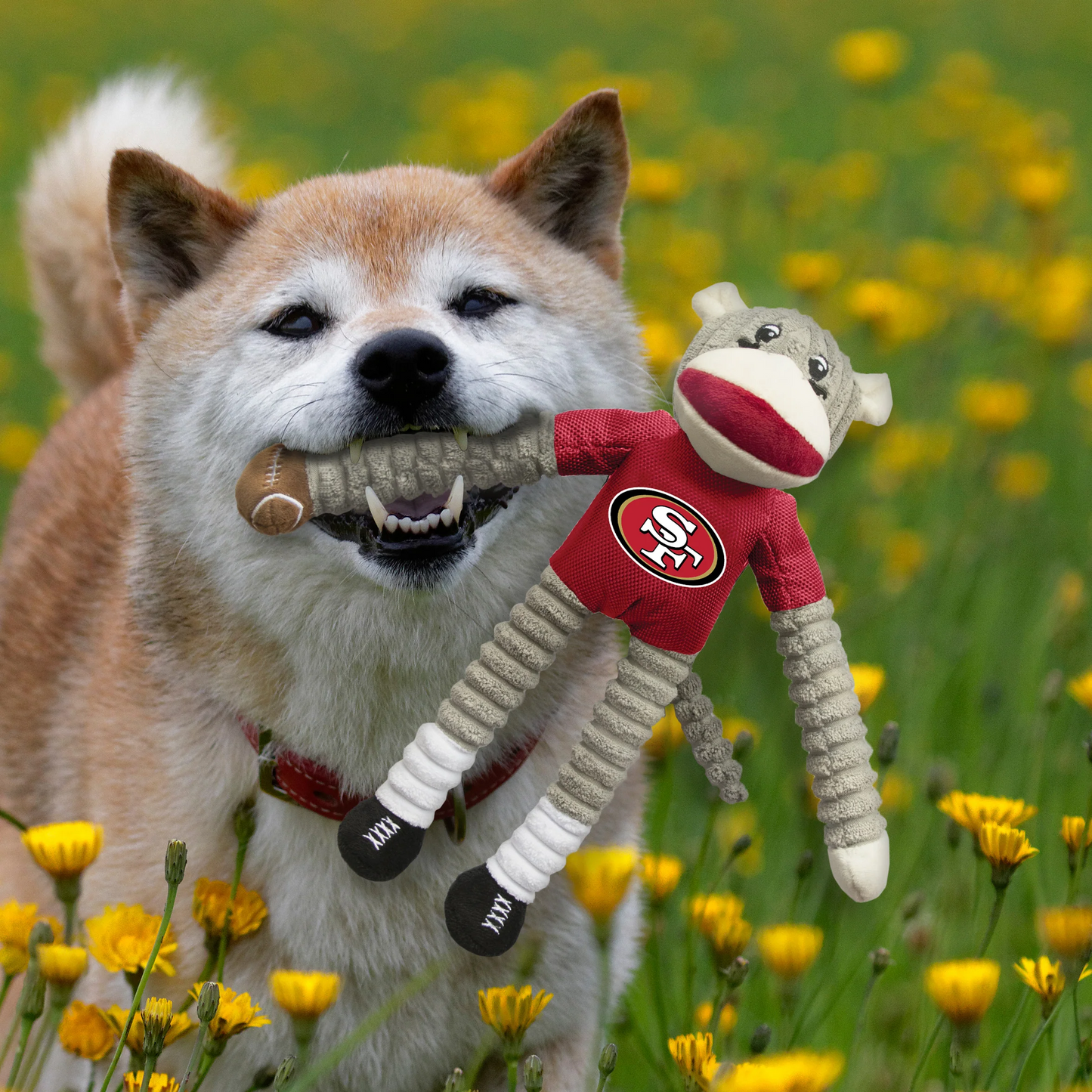 SAN FRANCISCO 49ERS TEAM SOCK MONKEY PET TOY