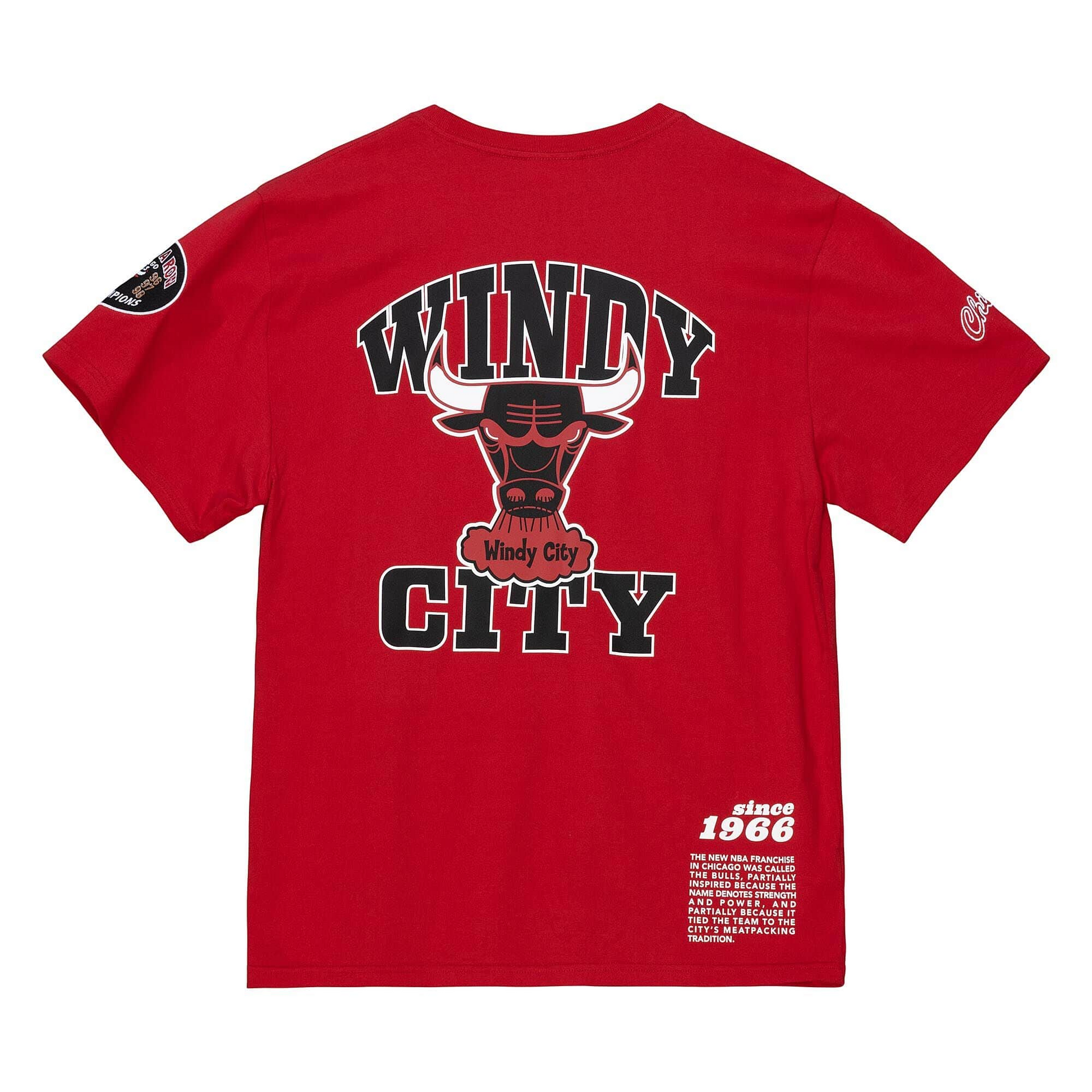 Shop Mitchell & Ness Chicago Bulls Team Logo T-Shirt (white) online